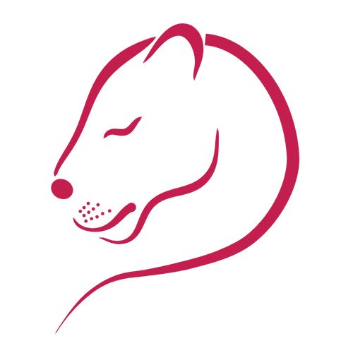 Lionavi