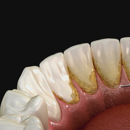 LIONAVI Gesichtstücher